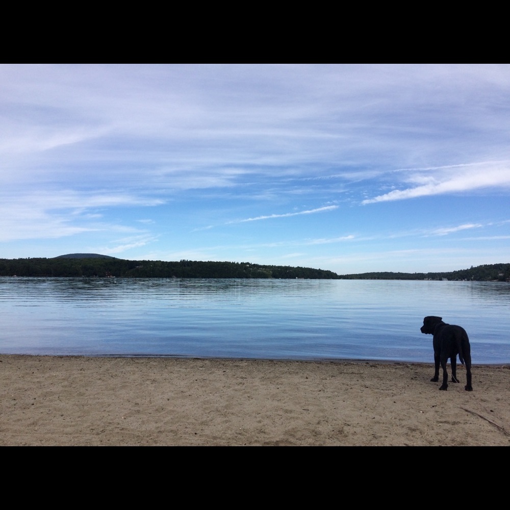 Meet your Posher, Maggie